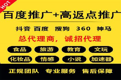 行业领先SEM托管代运营案例